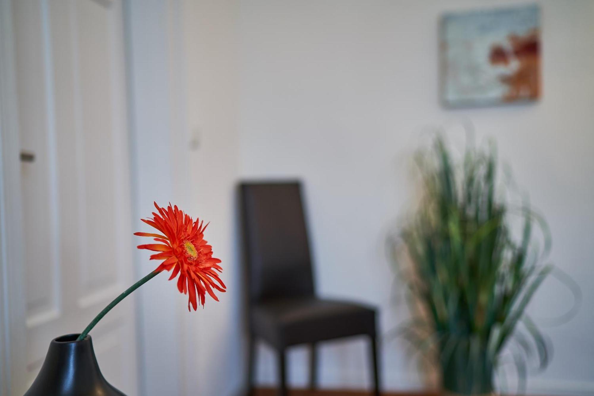 Casa Pinos Apartment Friedrichshafen Ngoại thất bức ảnh